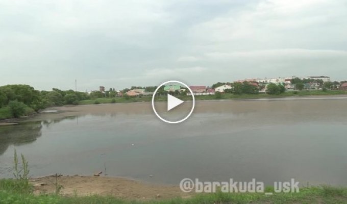 Виталий Наливкин очистил городское озеро