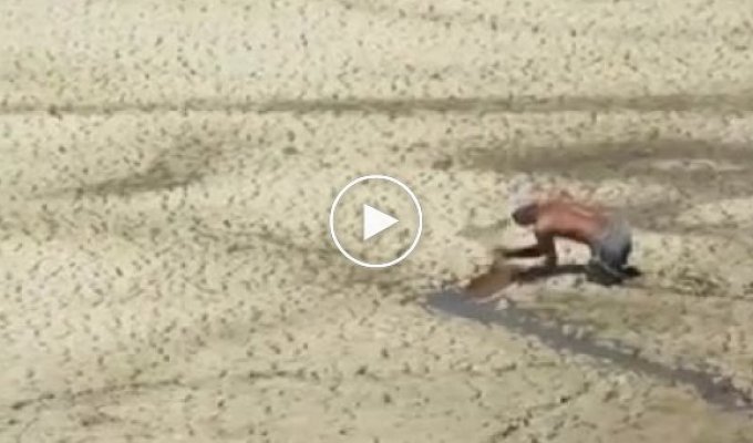 Спасение антилопы из песочного болота