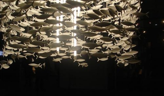 Лампа - косяк рыб (3 фото)