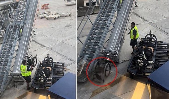Работники авиакомпании небрежно вышвыривают из самолёта инвалидные коляски пассажиров (7 фото + 1 видео)