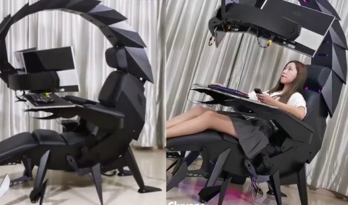 Императорское рабочее кресло "скорпион" с единственным недостатком (4 фото + 1 видео)