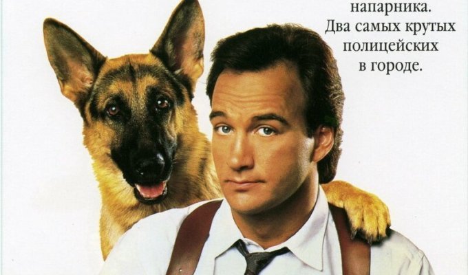 История пса-актера из фильма «К-9: Собачья работа», вышедшего 30 лет назад (13 фото)