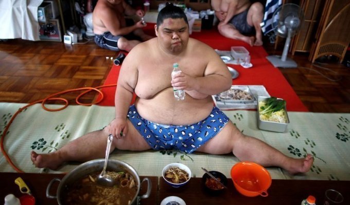 Как питаются борцы сумо (2 фото)
