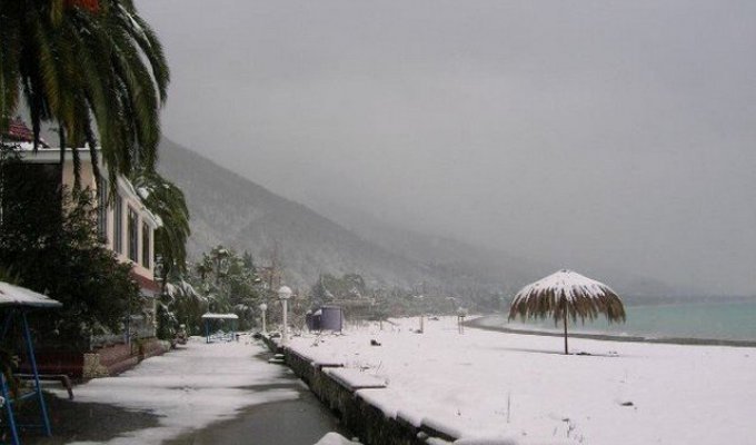 Пальмы и снег. Как зимуют в Абхазии (8 фото)