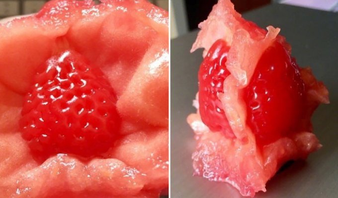 Китаец обнаружил клубнику внутри помидора (7 фото)