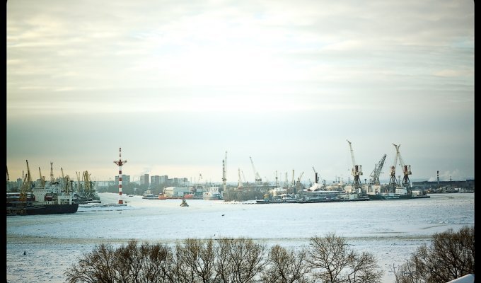 Петербург: Морской порт (12 фото)
