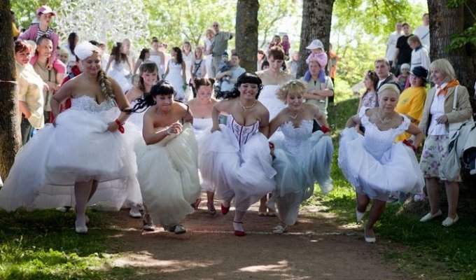 Акция "Сбежавшие невесты" в Нарве (77 фото)