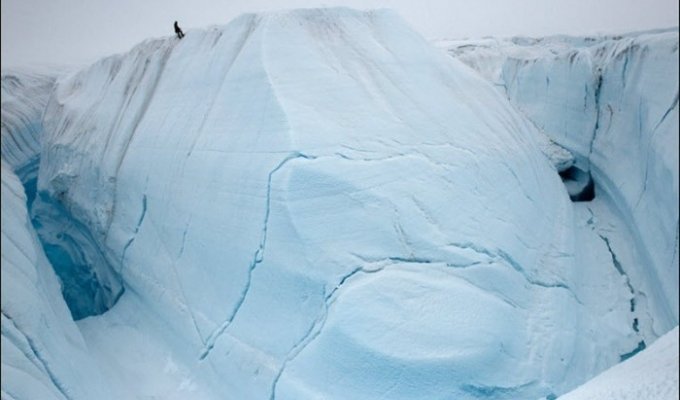 Летние фотографии Гренландии (12 фото)