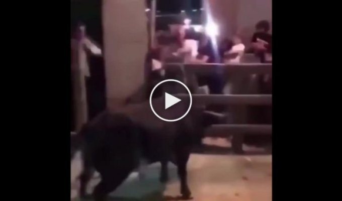 Бык неожиданно потерял поднятого на рога экстремала в Испании