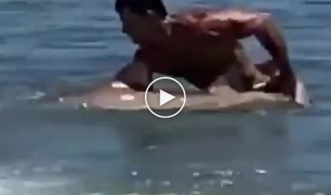 Отдыхающий на пляже поймал акулу голыми руками