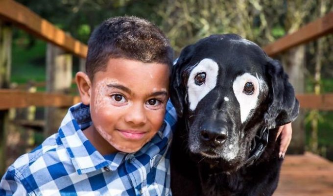 Мальчик с редким заболеванием кожи ненавидел свой внешний вид, пока не встретил такую же собаку (7 фото)