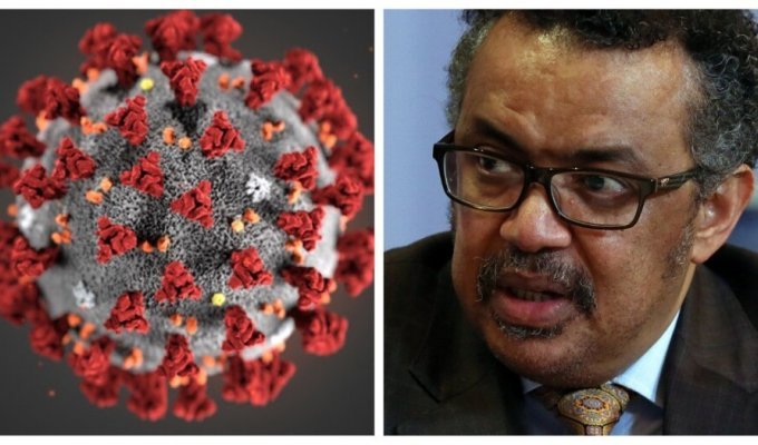 Глава ВОЗ официально объявил об окончании пандемии коронавируса (4 фото)