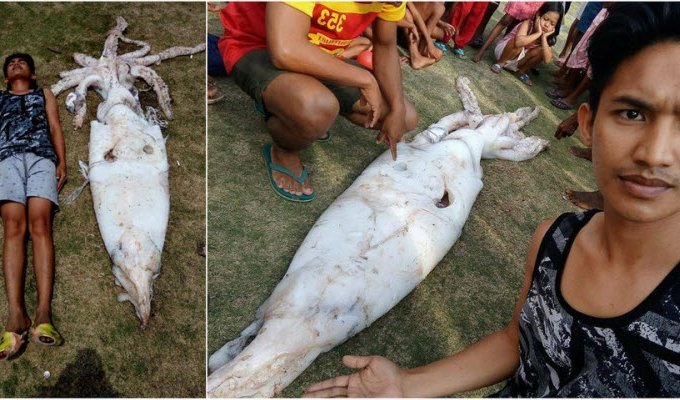 Филиппинский рыбак поймал 2,5-метрового кальмара и подарил его жителям деревни (6 фото)