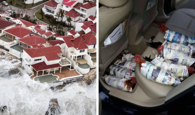 Шокирующие фотосвидетельства разрушительной мощи урагана Ирма (40 фото)