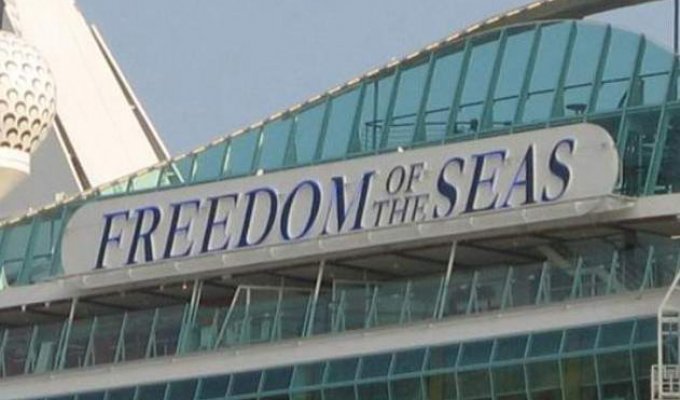 Freedom of seas (31 фото)