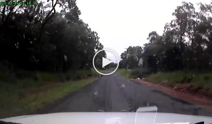 Австралийский водитель не проскочил затопленную половодьем дорогу