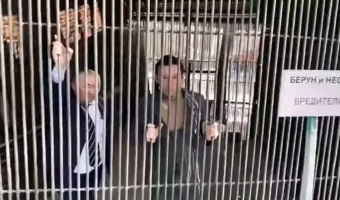 "Беруны и несуны": в Казахстане сняли антикоррупционный ролик в стиле Николая Дроздова (5 фото)