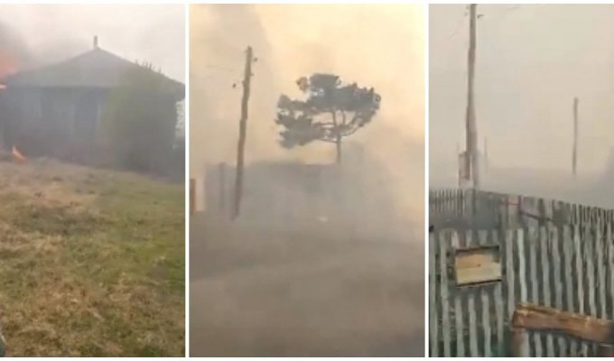 В Омской области пожар уничтожил целую деревню (мат) (5 фото + 1 видео)