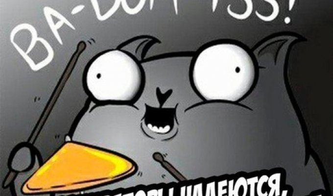 Подборка юмора и шуток от стендап-кота (23 картинки)