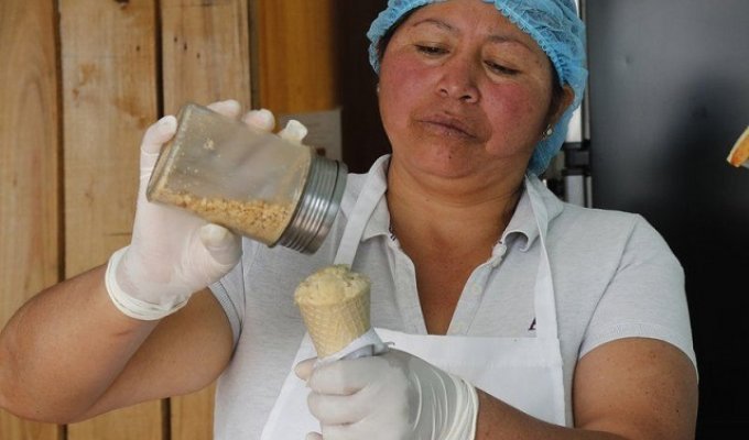 Эквадорское мороженное с секретным ингредиентом (6 фото)