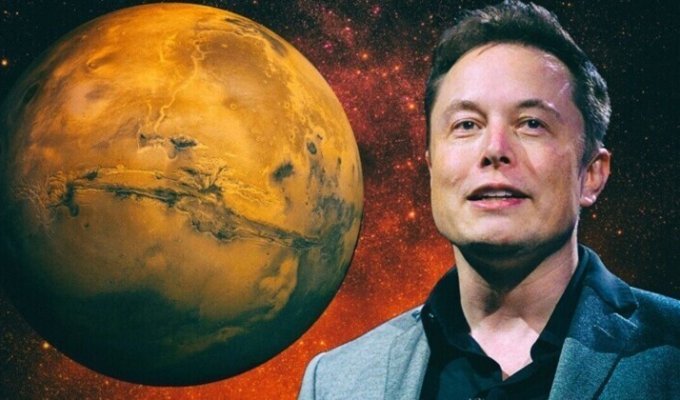"Вероятно, умрет куча людей": Маск заявил о том, что колонизация Марса не обойдется без жертв (3 фото + 1 видео)