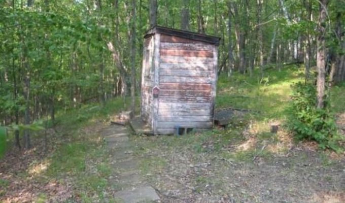 Туалет в лесу (5 фотографий)