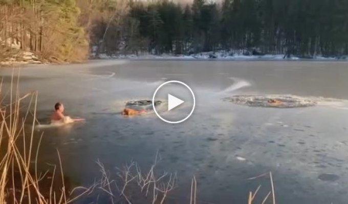 Спасение провалившихся под лед собак