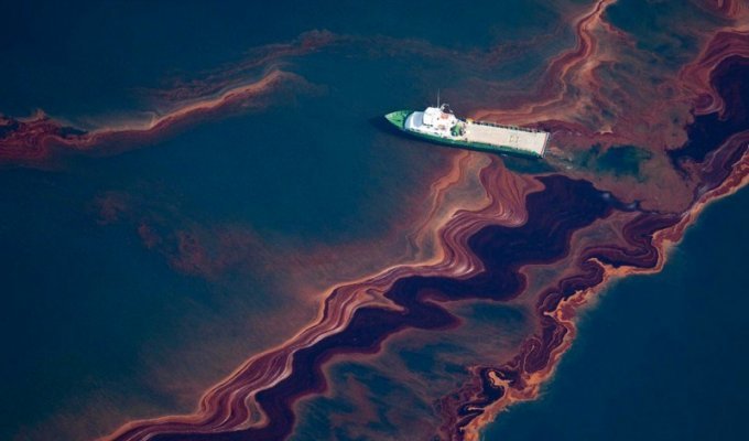 Разлив нефти в Мексиканском заливе продолжается (40 фото)