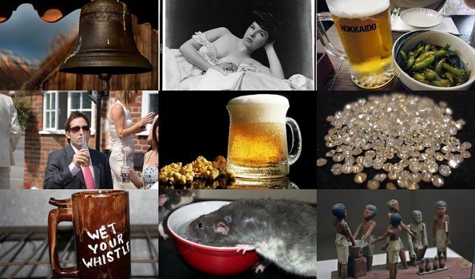 10 фактов про пиво (10 фото)