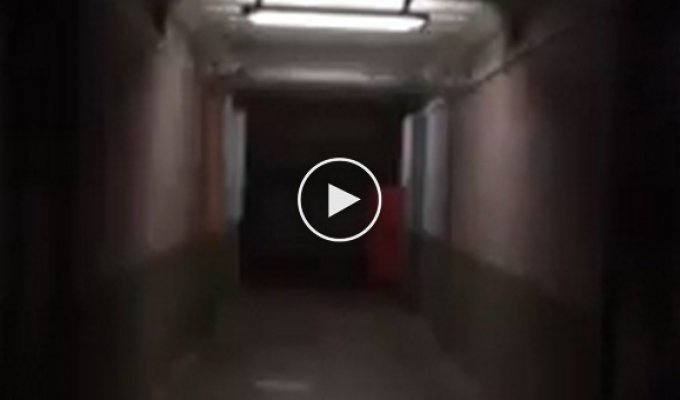 Охранники бразильского морга услышали странный шум в коридоре и решили узнать его происхождение