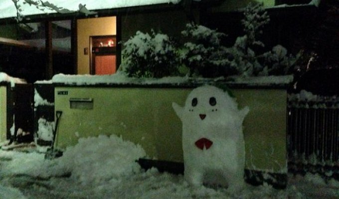 Снег в Японии (23 фото)