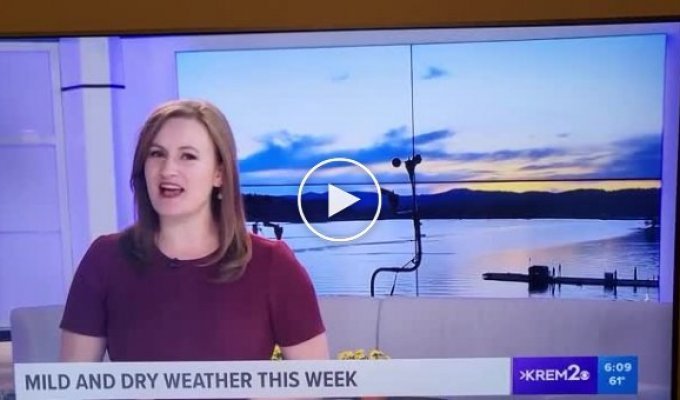 Телеведущая рассказала прогноз погоды на фоне горячего порно