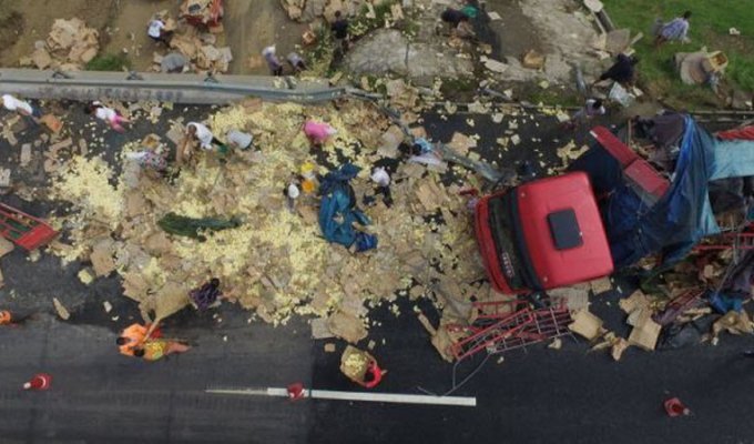 В Китае опрокинулся грузовик, перевозивший живой груз (8 фото)