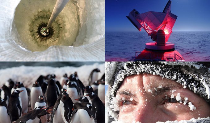 Антарктика в фотографиях (Часть 2) (47 фото)