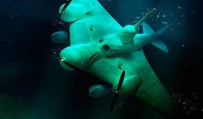 Проект летающей подводной лодки в Советском Союзе (3 фото)