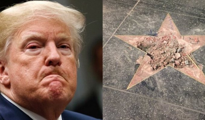На Аллее славы в Голливуде разбили звезду Трампа (3 фото)