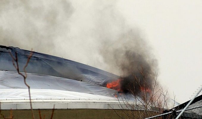 Пожар уничтожил павильон в одном из крупнейших зоопарков Британии (10 фото + 1 видео)