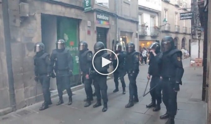 Девять полицейских против толпы протестующих
