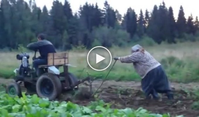 Сельское хозяйство чисто по-русски