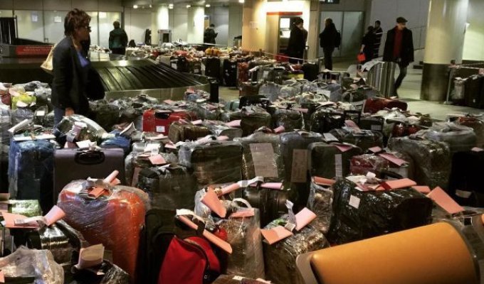 Чемоданный коллапс в российских аэропортах (11 фото)