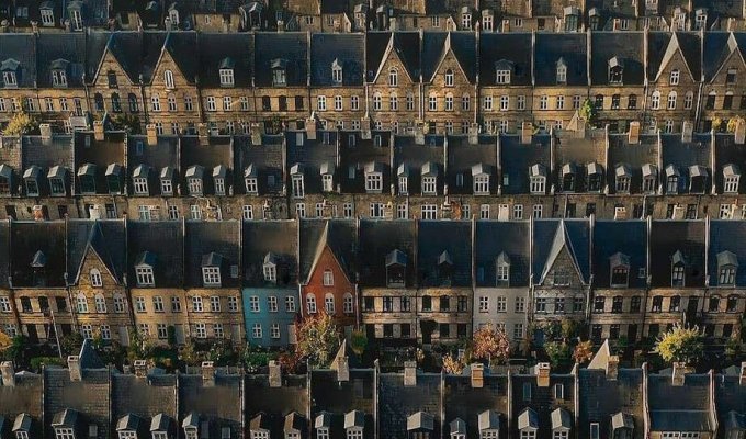 Как картофельное поле в центре Копенгагена превратилось в самое дорогое жилье в стране (8 фото)