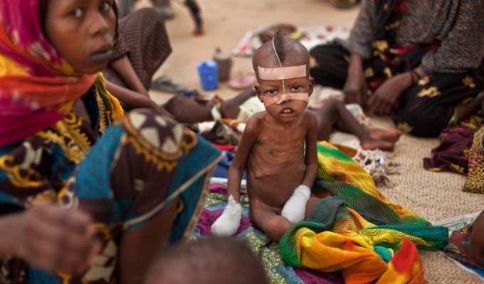 Продовольственный кризис в природной зоне Сахель в Африке (32 фото)