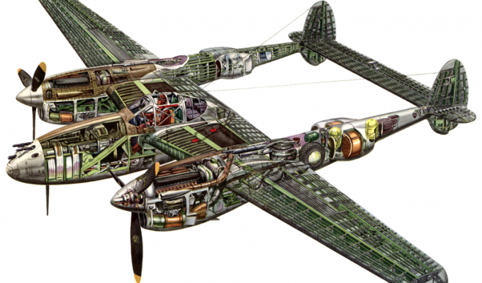 Самолеты Второй мировой войны в разрезе (42 фото)