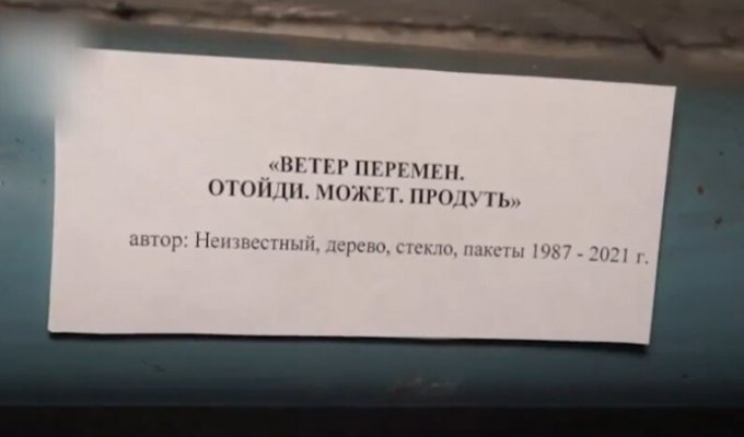Из аварийного дома жильцы сделали музей. Теперь на плесень можно посмотреть всего за 25 рублей (5 фото + 1 видео)
