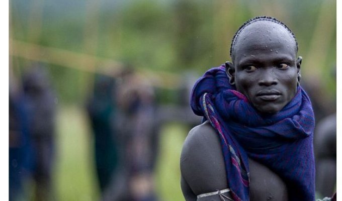 Испытание мужчин племени Сурма в Эфиопии (28 фото)