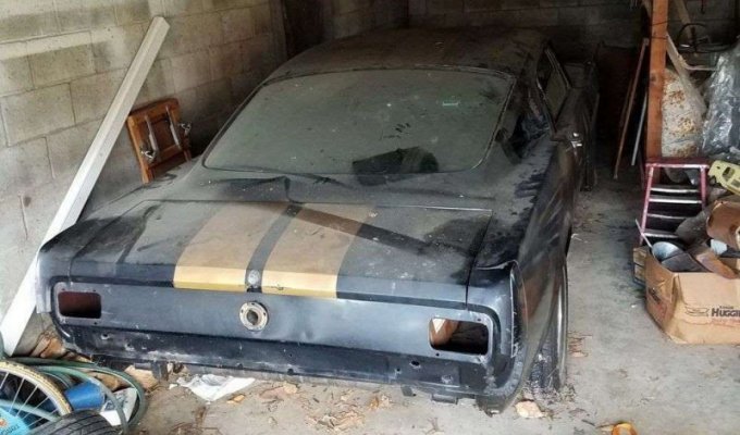 В США среди хлама нашли редкий прокатный Mustang Shelby (8 фото)