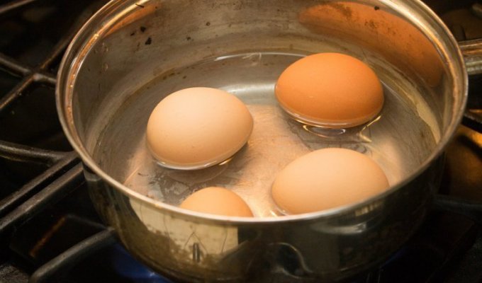 Как французы крутили яйца (1 фото)