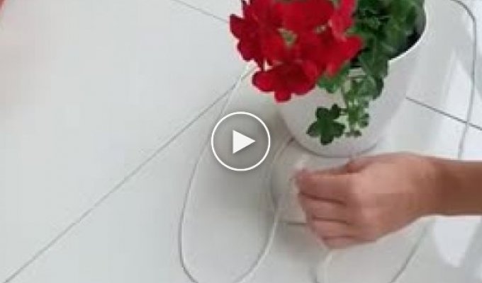Дачникам на заметку. Как правильно сделать подвеску для вазона с цветами