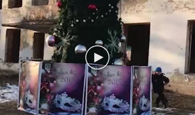 Во Владивостоке новогоднюю елку установили в заброшенном детском саду