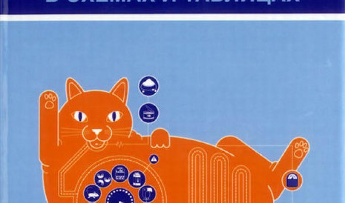 Кошка. Инструкция по эксплуатации в схемах и таблицах (6 фото)